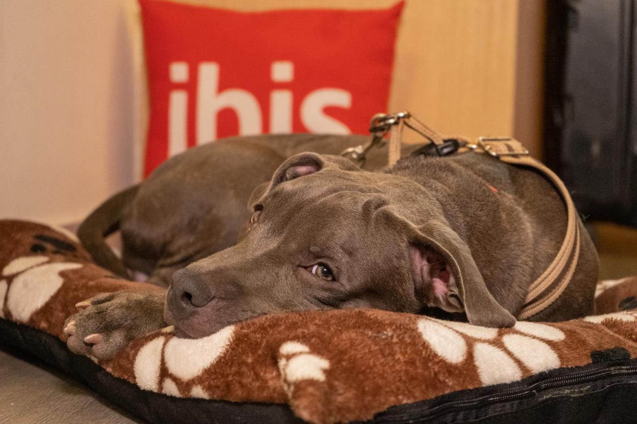 Ibis Cartagena Marbella Hotell Eksteriør bilde